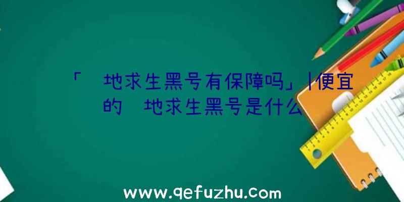 「绝地求生黑号有保障吗」|便宜的绝地求生黑号是什么